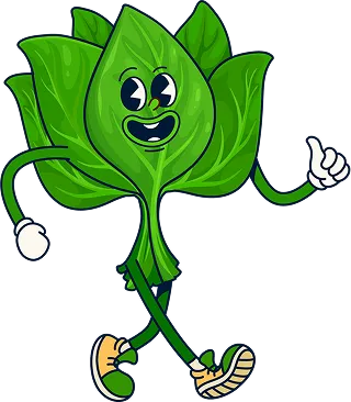 Un bouquet d’épinards avec des bras, des jambes et un visage, qui lève un pouce en l’air.