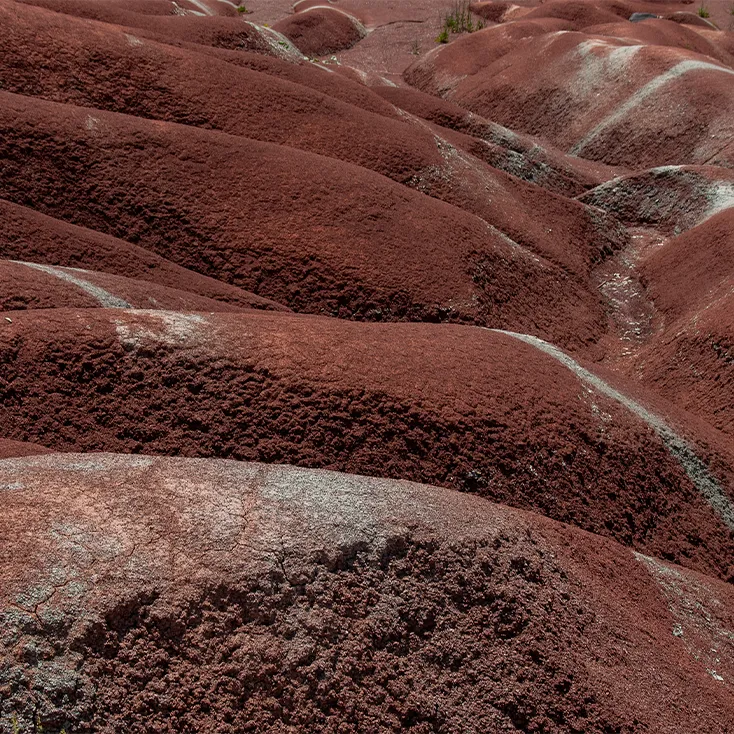Un paysage de collines aux formes ondulées et bosselées, évoquant des vagues de terre.
