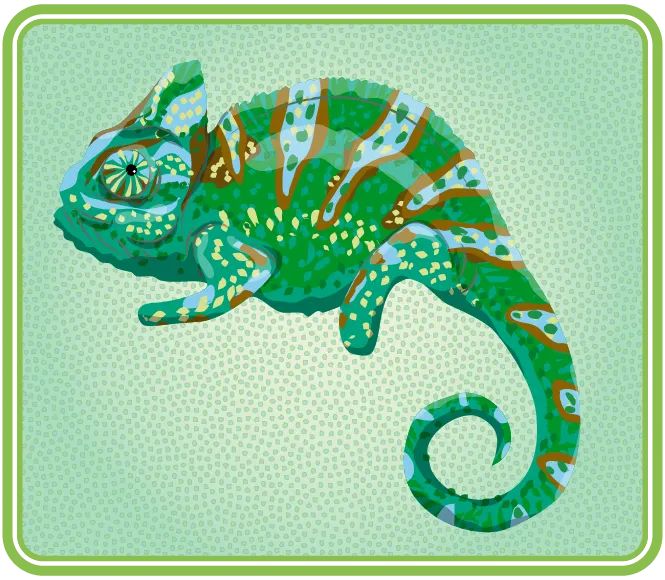 Un reptile au corps large et à la longue queue mince en tire-bouchon.